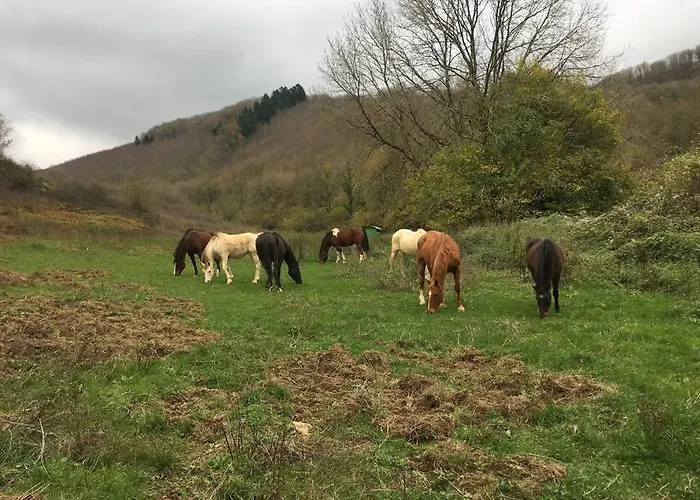 Le Hameau De Sylvanes